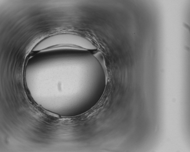 X0000096490052200802141756