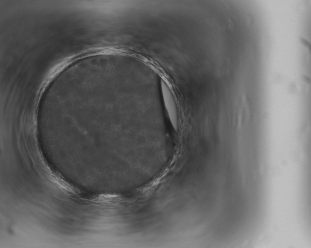 X0000096490055200802141756