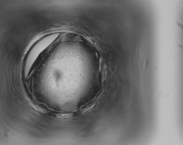 X0000096490056200802141756