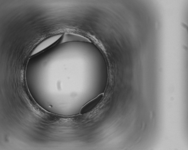 X0000096490057200802141756