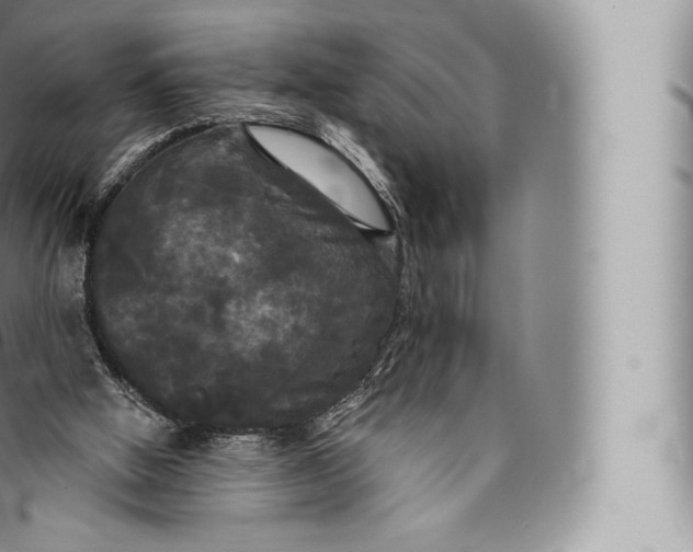 X0000096490058200802141756