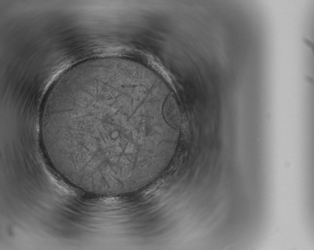 X0000096490059200802141756