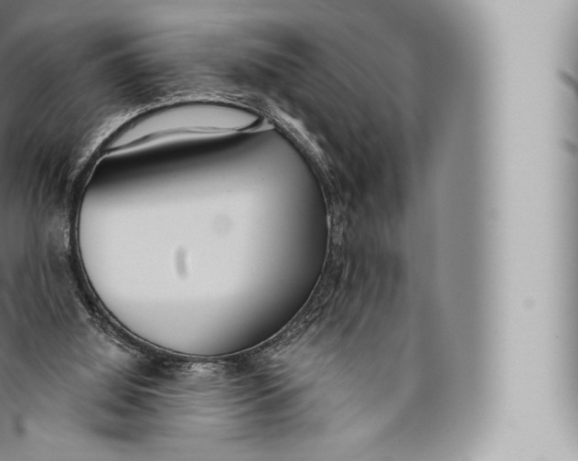 X0000096490060200802141756