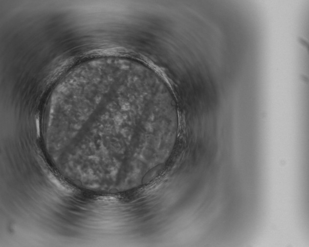 X0000096490061200802141756