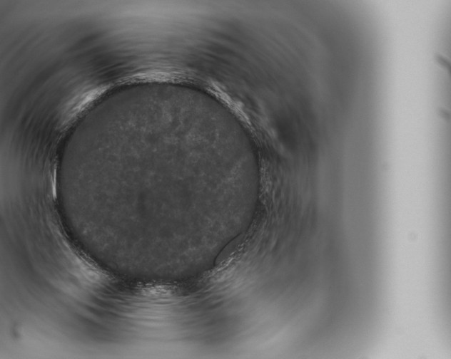 X0000096490062200802141756