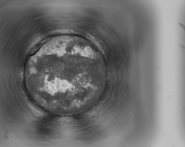 X0000096490063200802141756