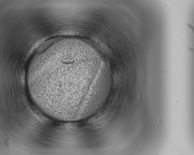 X0000096490064200802141756