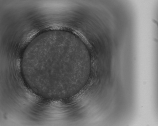 X0000096490066200802141756