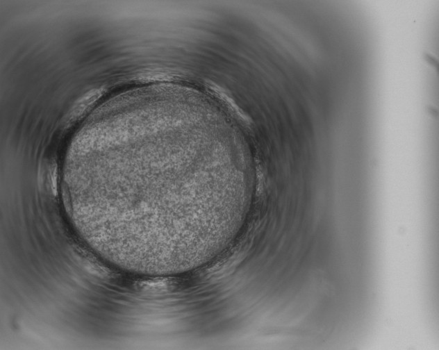 X0000096490068200802141756