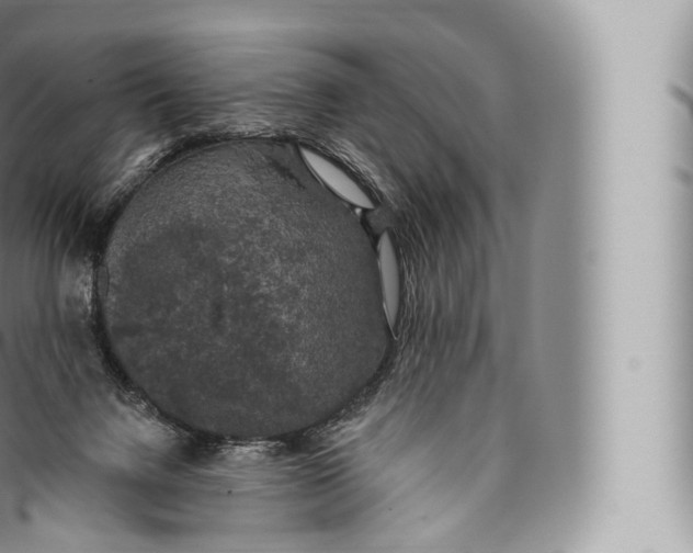 X0000096490072200802141756