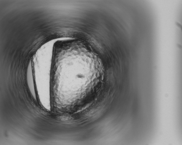 X0000096490073200802141756