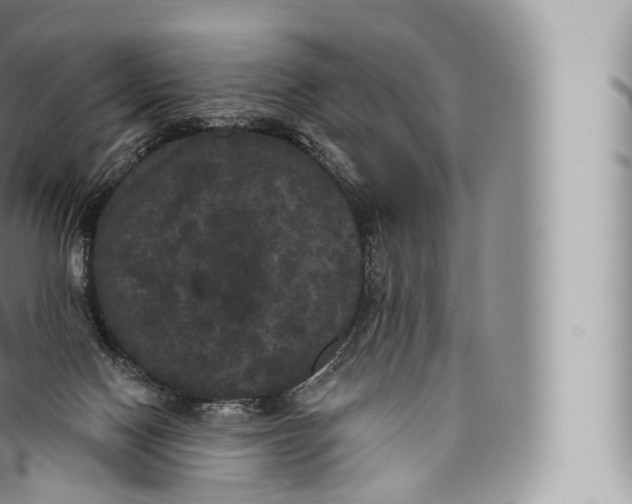 X0000096490074200802141756