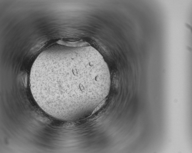 X0000096490076200802141756