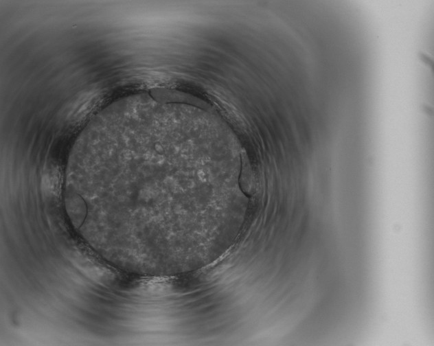 X0000096490078200802141756