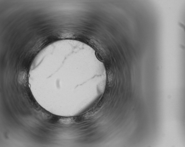 X0000096490079200802141756