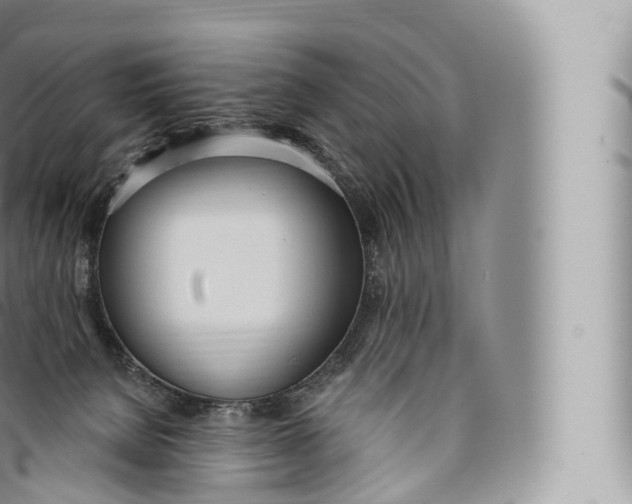 X0000096490080200802141756