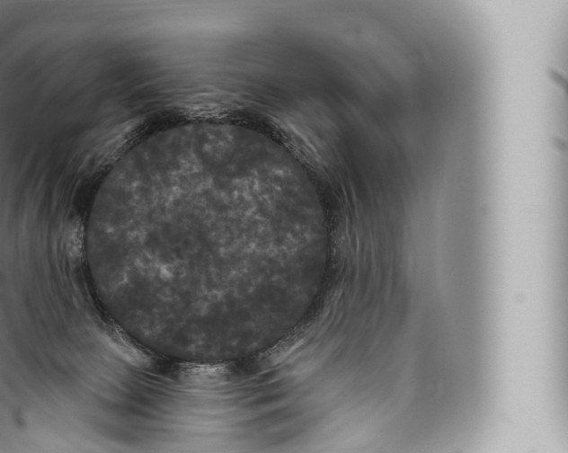 X0000096490081200802141756