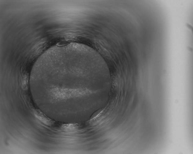 X0000096490082200802141756