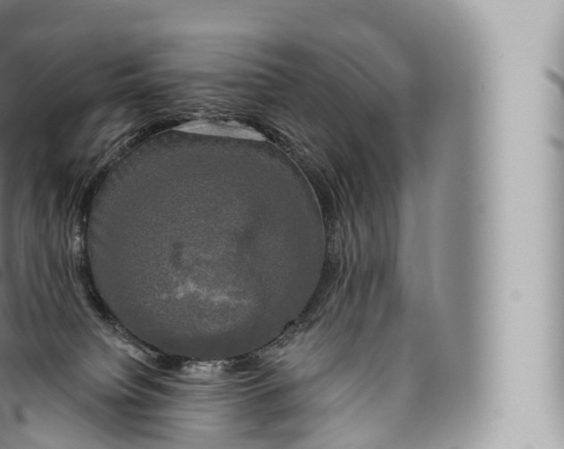 X0000096490084200802141756