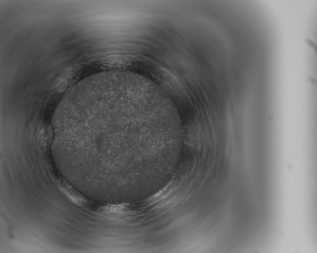 X0000096490086200802141756