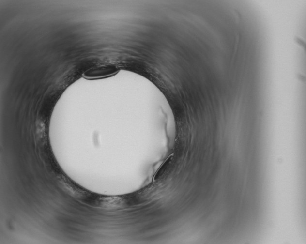 X0000096490087200802141756