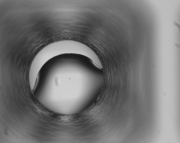 X0000096490088200802141756