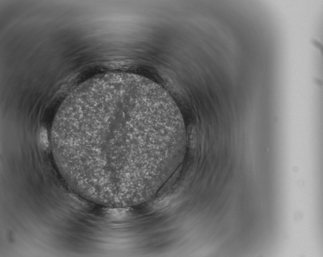 X0000096490089200802141756