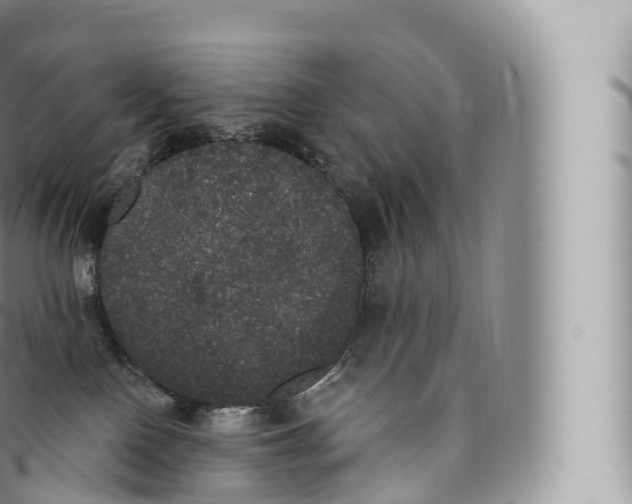 X0000096490090200802141756