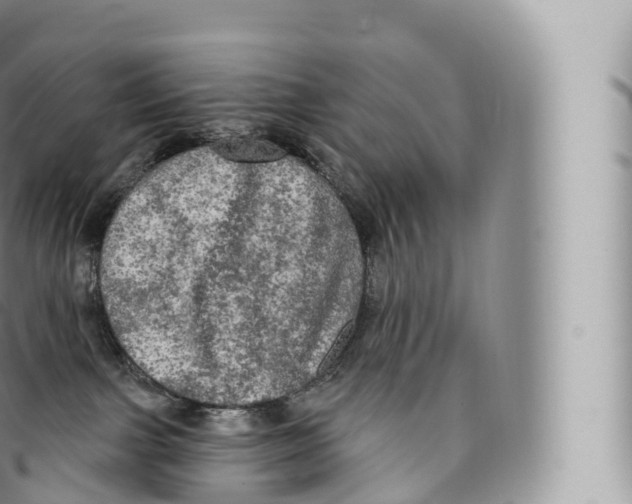 X0000096490091200802141756