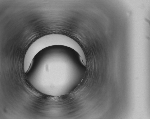 X0000096490092200802141756