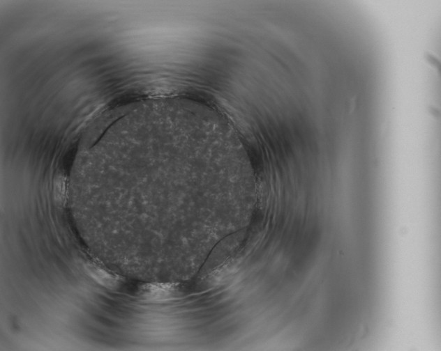 X0000096490093200802141756