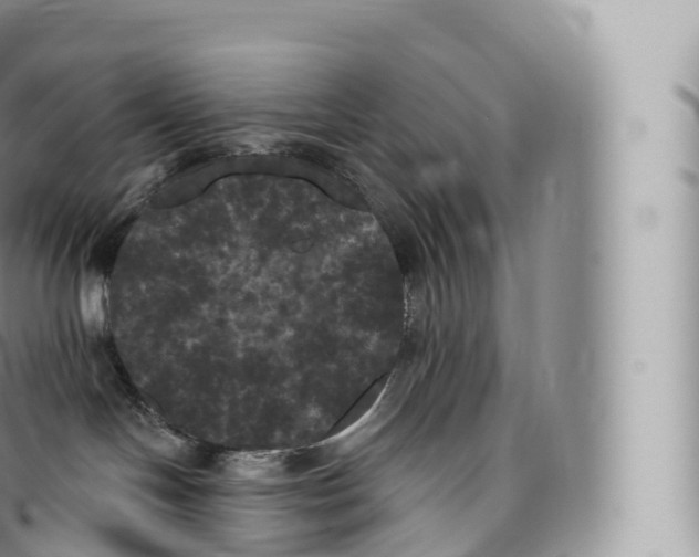 X0000096490094200802141756