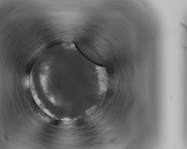 X0000096490095200802141756