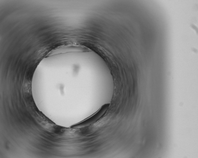 X0000096490096200802141756