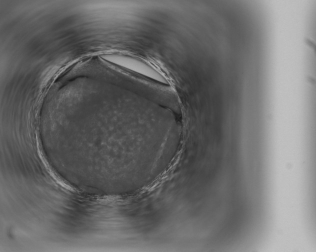 X0000096490097200802141755