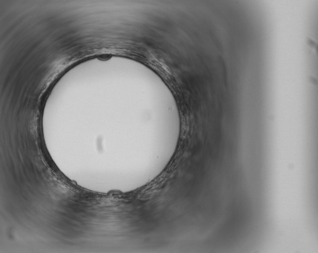 X0000096490098200802141755