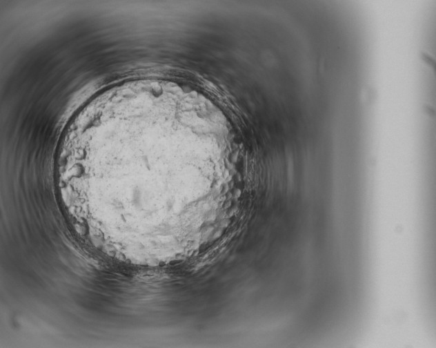 X0000096490099200802141755