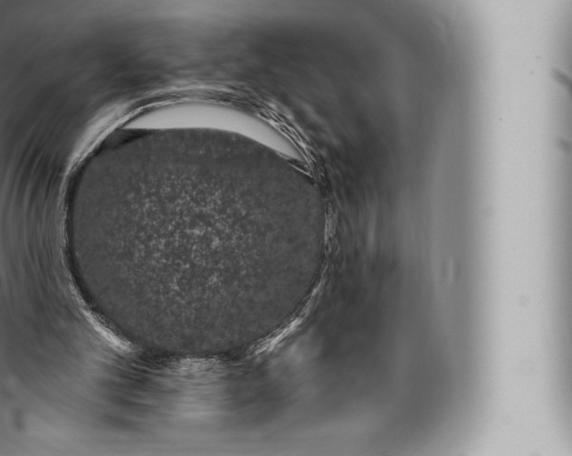 X0000096490101200802141755