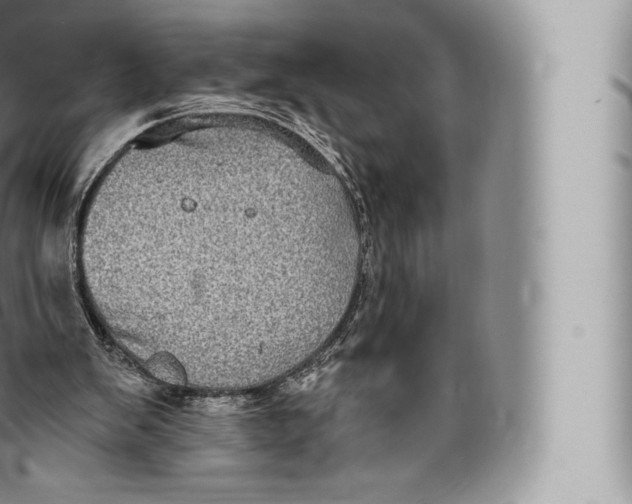 X0000096490103200802141755