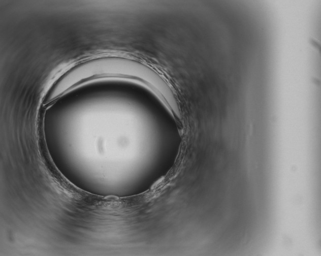 X0000096490104200802141755