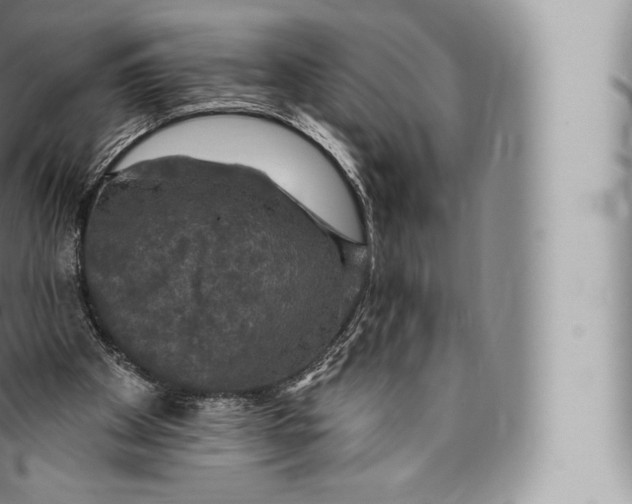 X0000096490105200802141755