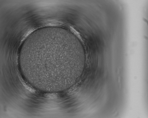 X0000096490106200802141755