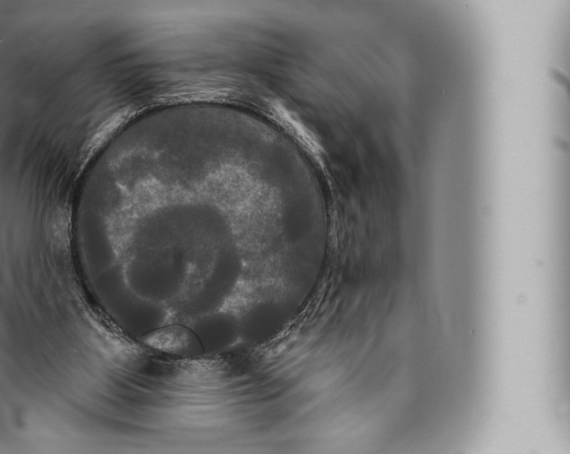 X0000096490107200802141755