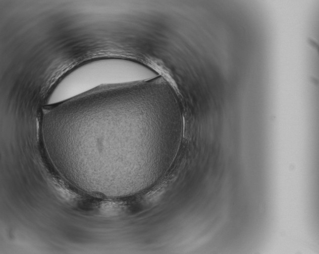 X0000096490109200802141755