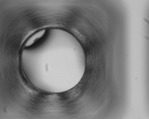 X0000096490112200802141755