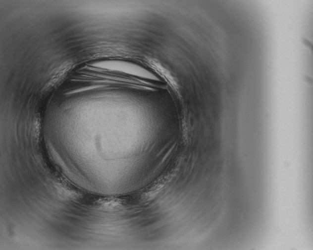 X0000096490113200802141755