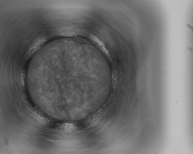 X0000096490114200802141755