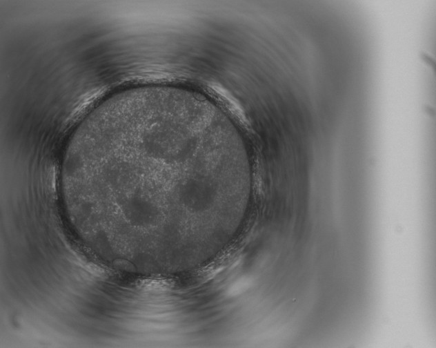 X0000096490115200802141755