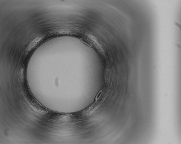 X0000096490116200802141755