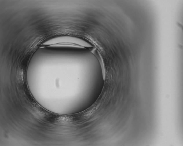 X0000096490117200802141755